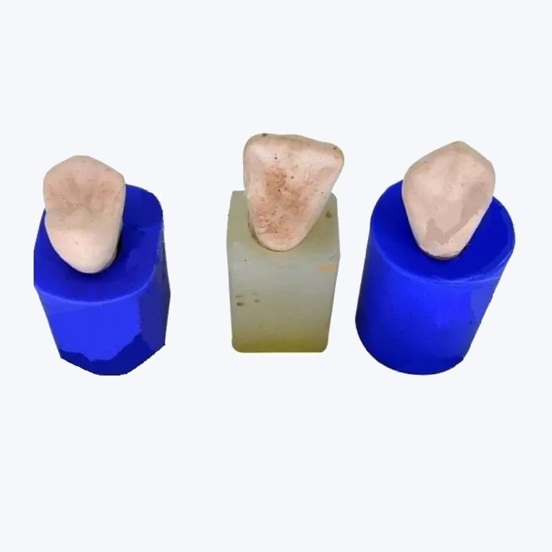 API Model Former - Teeth Enlarger